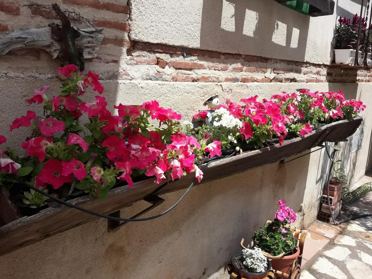 Casa Rural La Casa De Las Manuelas Horcajo de las Torres Zewnętrze zdjęcie